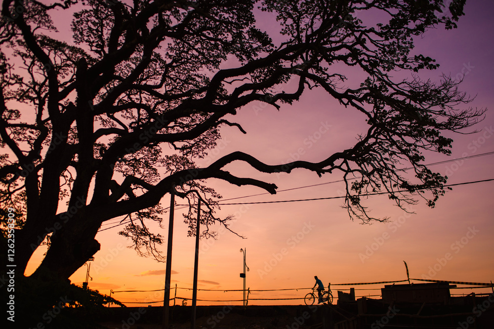 Naklejka premium Silhouettes of trees and pedestrians under the sunset