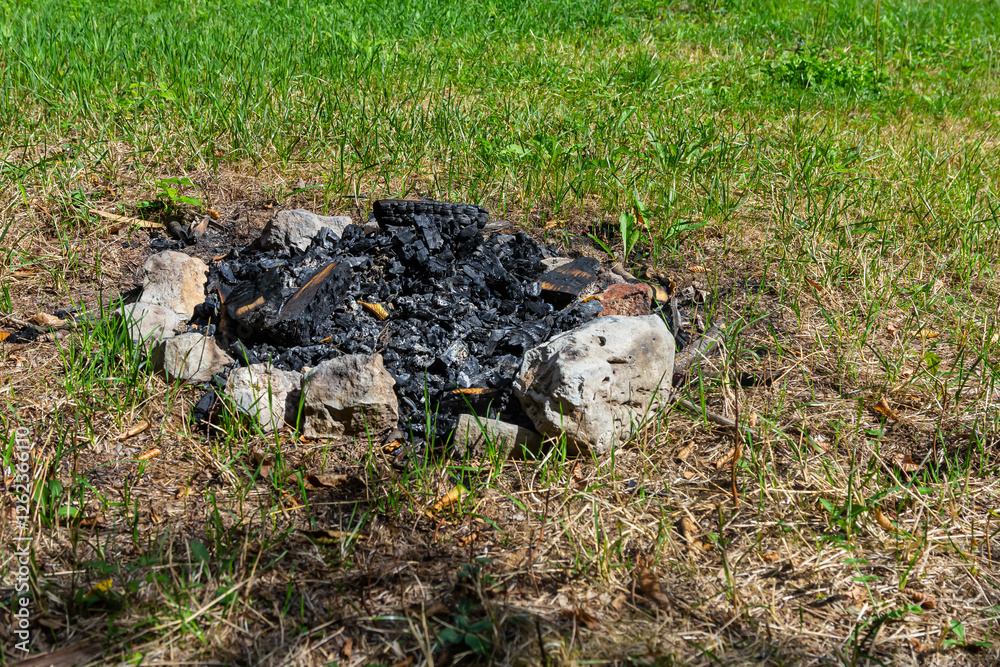 Fire pit remnants show ashen remains surrounded by stones in a grassy area on a sunny day Fire pit remnants show ashen remains surrounded by stones in a grassy area on a sunny day