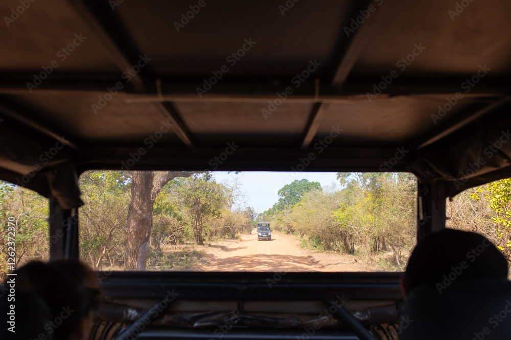 Fototapeta premium The interior of the car driving on the road is located in Sri Lanka.