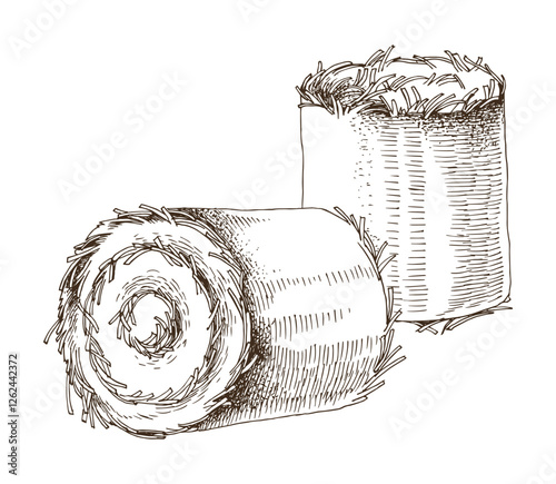 Hand drawn rolled haycock vector illustration