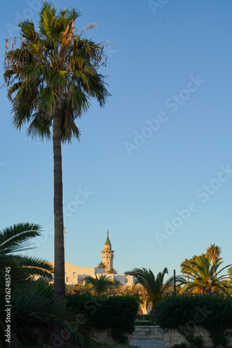 La Moschea e il Mausoleo di Bourguiba, leader della lotta per l'indipendenza e fondatore della Tunisia moderna, costruito a partire dal 1963, sullo stile dei tipici santuari islamici dedicati ai santi photo