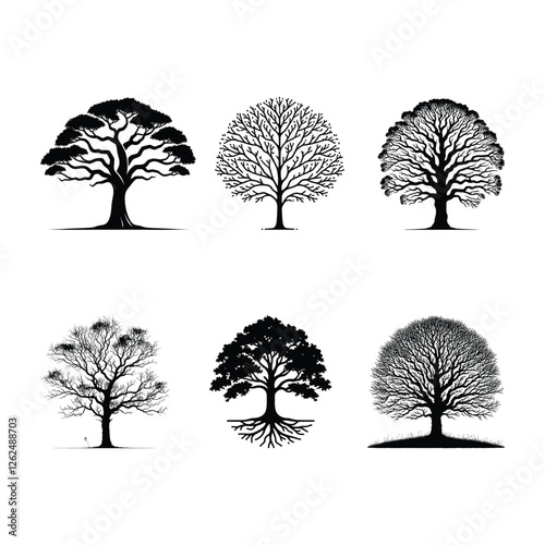 Baobab Tree silhouette 