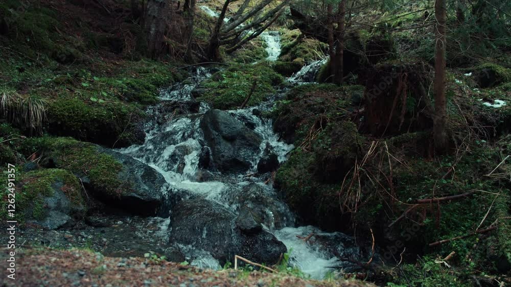 Mountain creek or little river filled with water during spring after winter snow season. Cinematic nature close up. Natural clear drinking water source in the mountains Mountain creek or little river filled with water during spring after winter snow season. Cinematic nature close up. Natural clear drinking water source in the mountains
