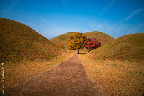 Daereungwon in Gyeongju is a royal tomb complex from the Silla Dynasty.