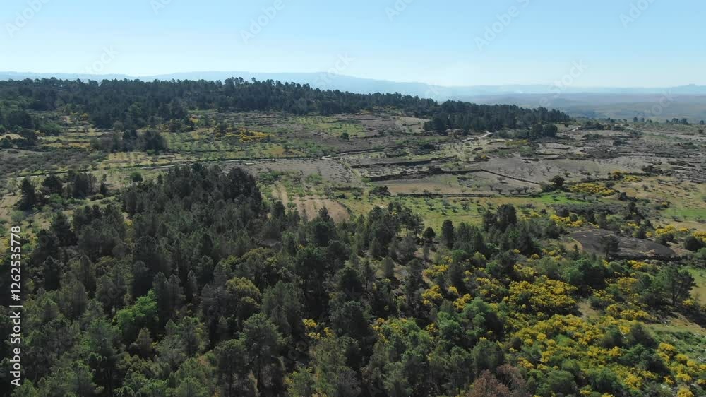 Drone flying over Portuguese countryside and cultivated fields, Portugal. Aerial forward