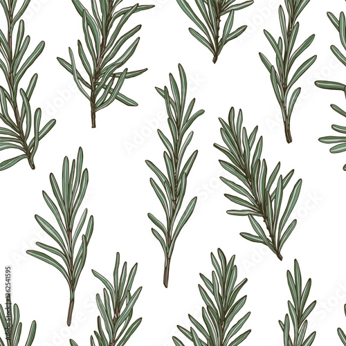Seamless pattern of rosemary sprigs on white background colored hand drawn vector illustration use for textiles wallpapers crafts creating home decor fashion items culinary cosmetic packaging