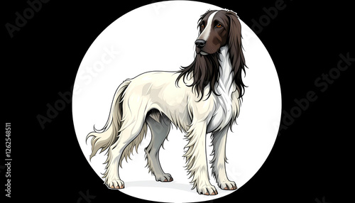 Obraz na płótnie afghan hound on white background 