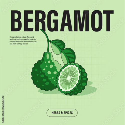 Bergamot Premium Vector Clipart High-Quality Illustration for Cooking Branding and Packaging