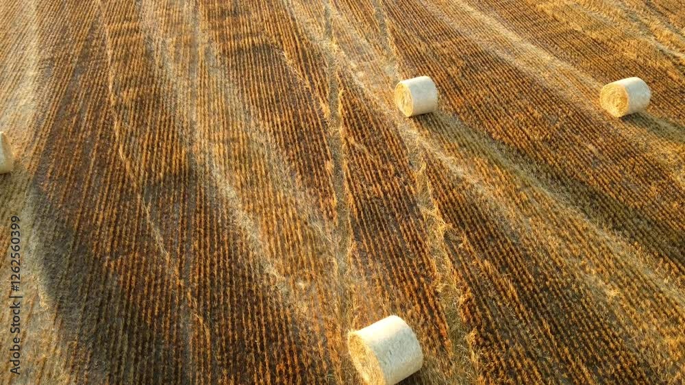 aerial vew of the field