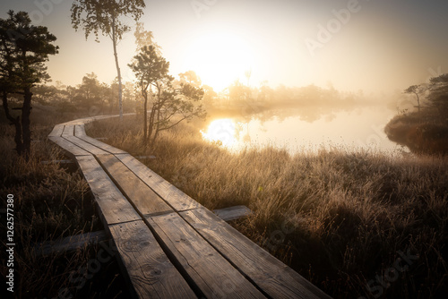 kemeri national park in latvia