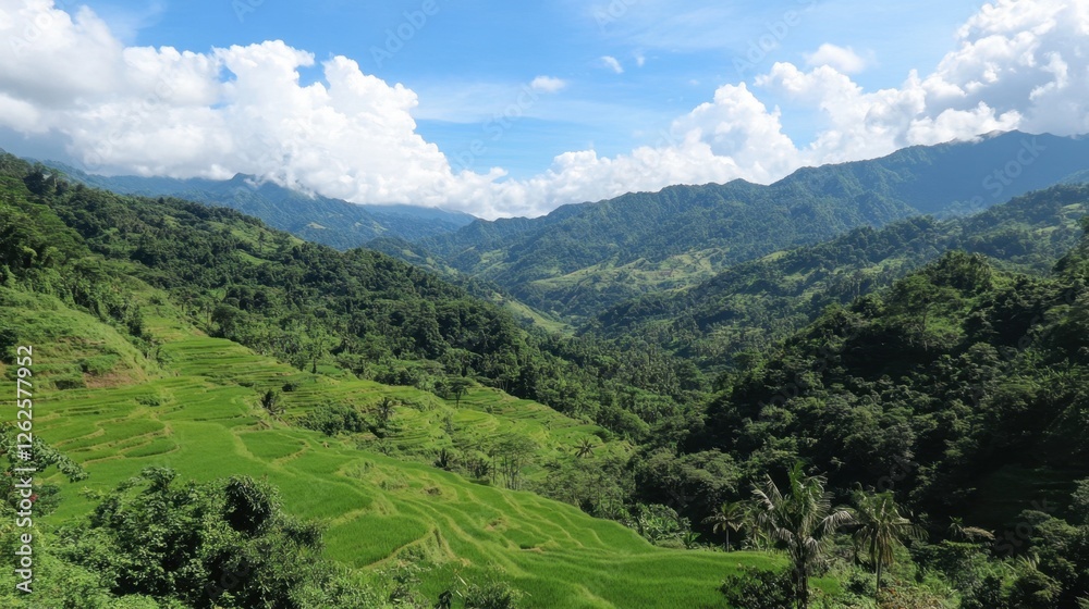 Naklejka premium A breathtaking view of terraced rice fields in a tropical countryside.