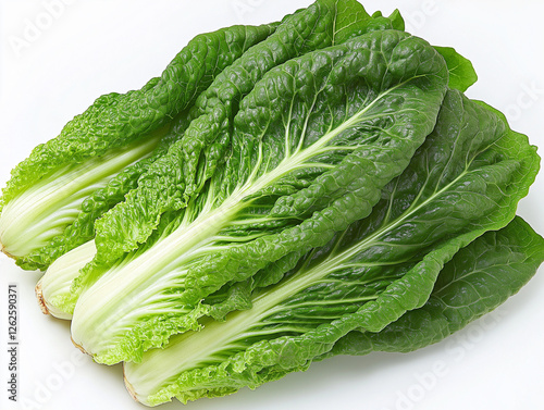 a photographic image of a head of butterhead lettuce on a white background
 photo