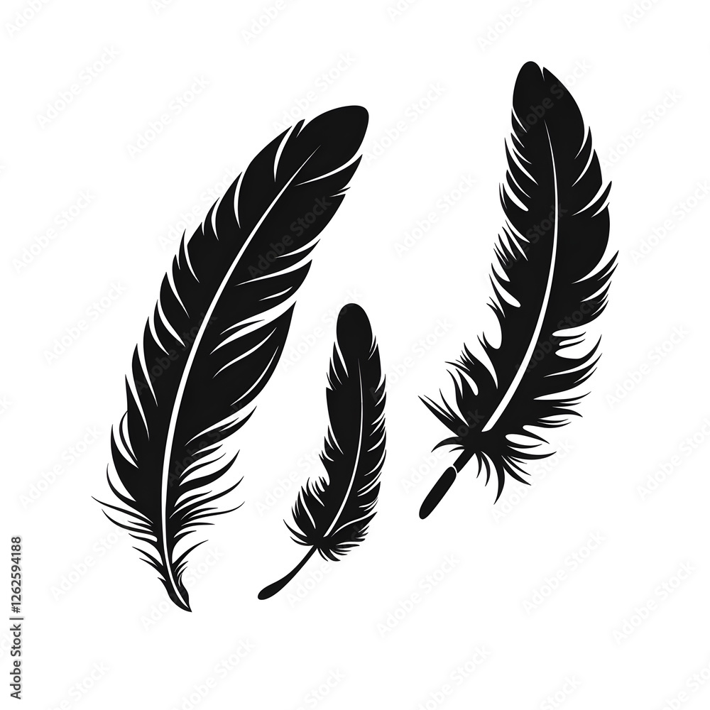 Obraz premium feathers silhouette