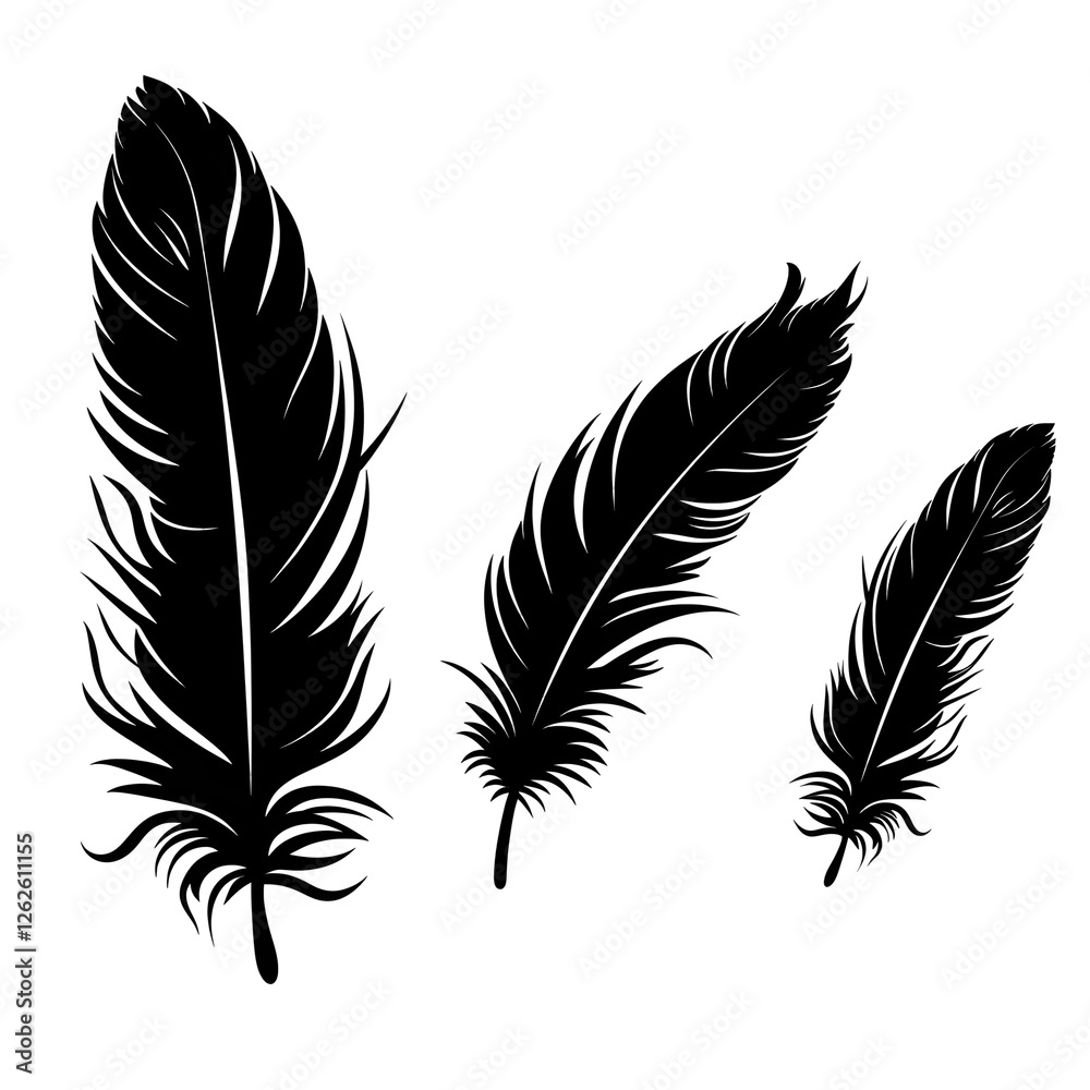 Obraz premium feathers silhouette