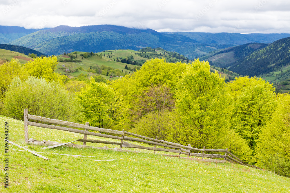 wooden fence near meadow on the hill. mountainous rural landscape of transcarpathia in spring. beautiful view of countryside with grass on field and forested on hillside beneath a cloudy sky