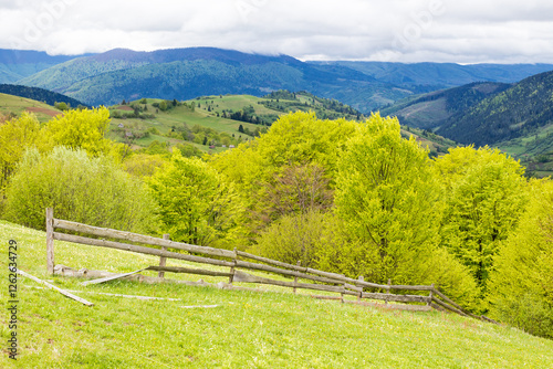 Obraz na płótnie wooden fence near meadow on the hill. mountainous rural landscape of transcarpathia in spring. beautiful view of countryside with grass on field and forested on hillside beneath a cloudy sky w salonie