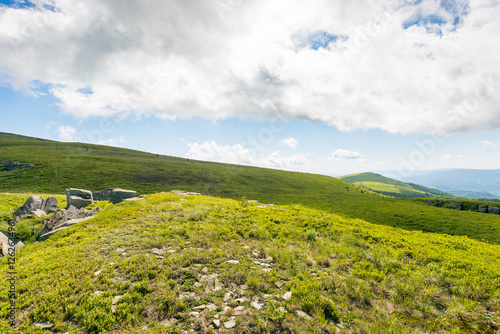Obraz na płótnie green meadows of carpathian mountain landscape. alpine nature scenery with stones among lush grass on rolling hills beneath a blue sky with clouds. summer vacations in ukraine w salonie