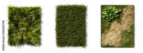 Wallpaper Mural Different types of grass wall panels, in various styles and sizes
 Torontodigital.ca