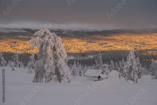 Tableau sur toile Frozen Idre Himmelfjäll ski resort in Sweden in winter