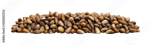 Wallpaper Mural Harvesting pine nuts in nature scene isolated on transparent background Torontodigital.ca