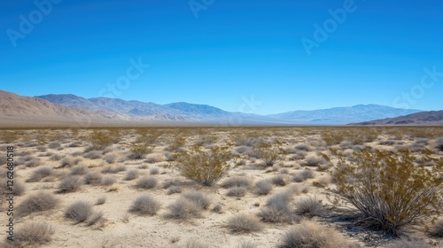 California Desert Photography: Sandy dunes under a clear blue sky present a minimalist, expansive landscape of arid beauty.
