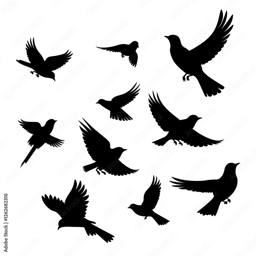 Obraz premium birds flight silhouette