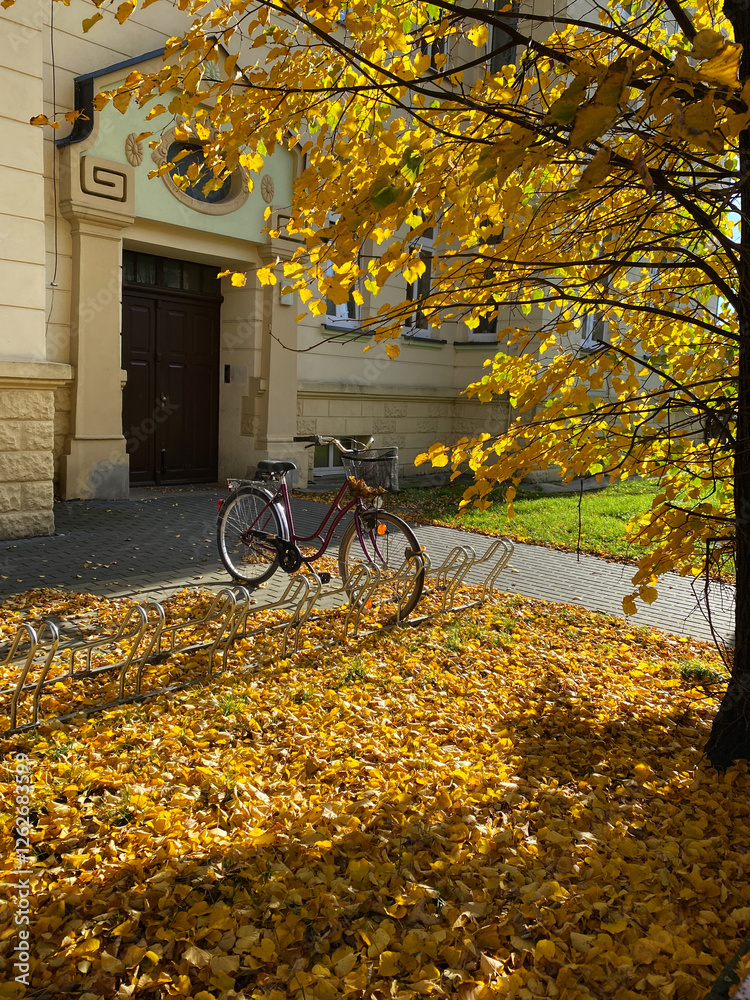 A lone bicycle stands on metal stands next to a house surrounded by a carpet of yellow autumn leaves.