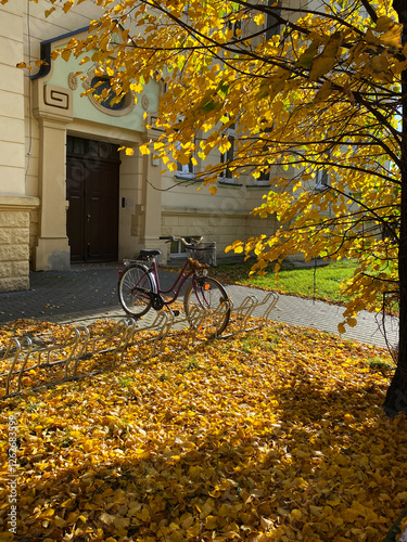 Obraz na płótnie A lone bicycle stands on metal stands next to a house surrounded by a carpet of yellow autumn leaves. w salonie