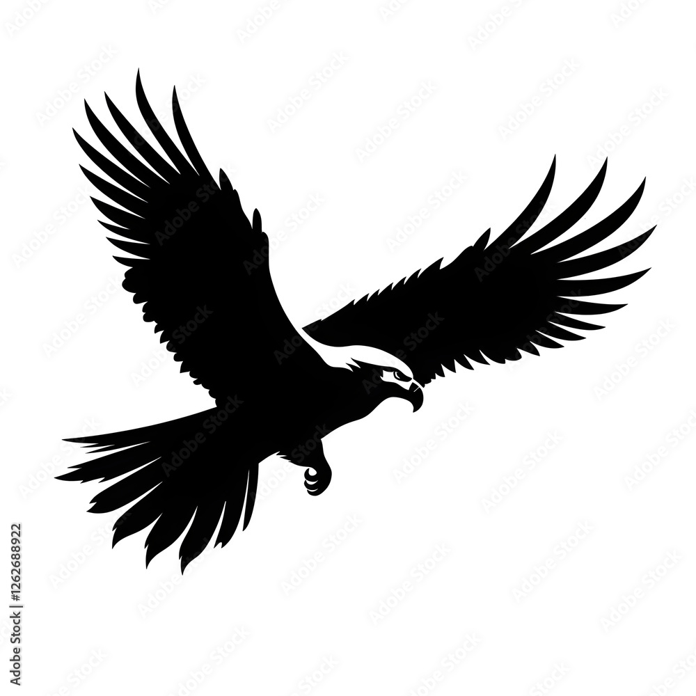 Obraz premium flying eagle silhouette