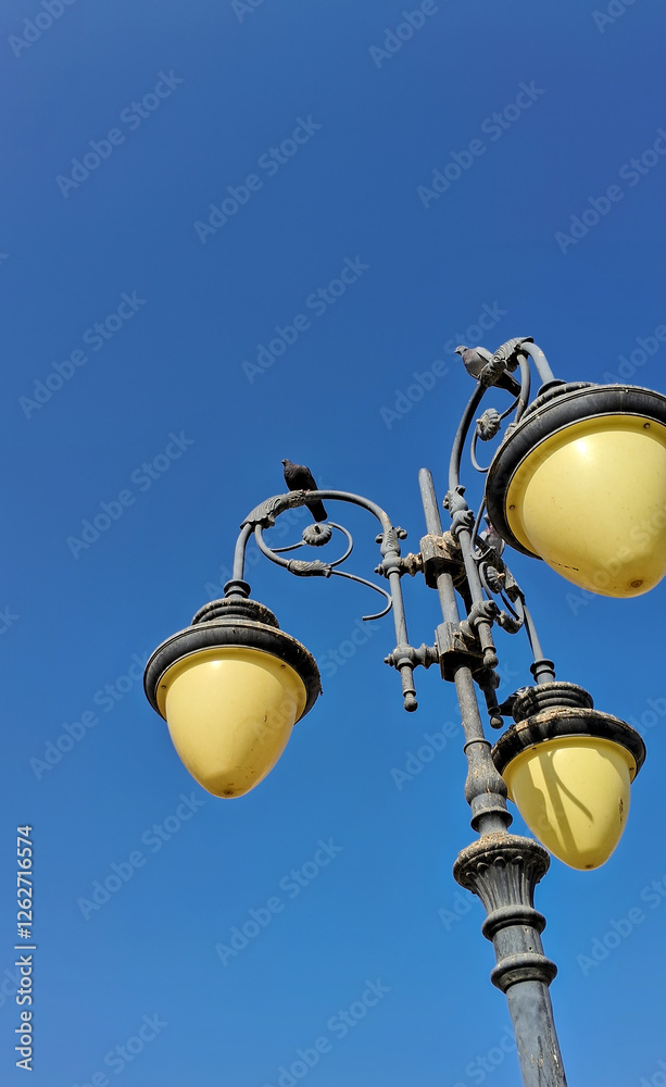 Old street lamp and pigeon birds against blue sky Old street lamp and pigeon birds against blue sky