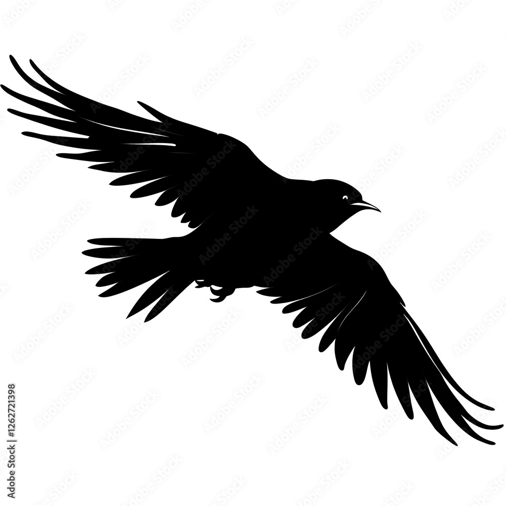 Fototapeta premium bird flight silhouette