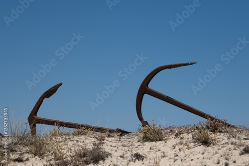 Algarve anchor beach
