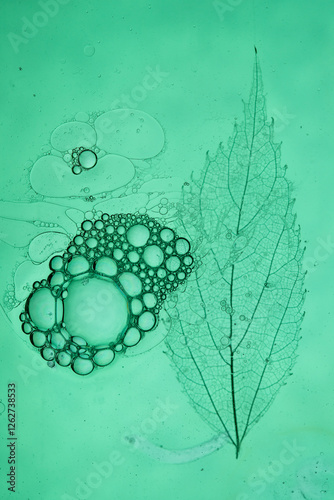 Transparent oil and soap bubbles on a pale blue green background. Tree leaf underwater in the background. Experience between art and science. photo