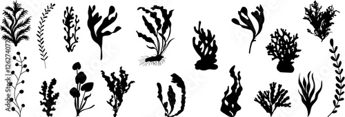 algae set silhouette on white background vector