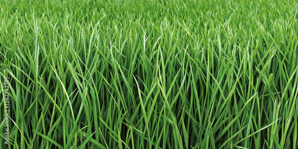 Lush green grass swaying gently in breeze, creating serene atmosphere Lush green grass swaying gently in breeze, creating serene atmosphere