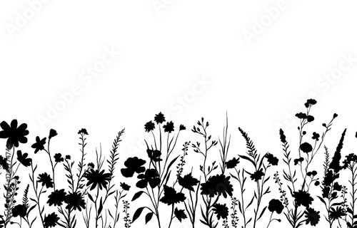 vector illustration of silhouettes background with various wildflowers and delicate plants, seamless from right to left