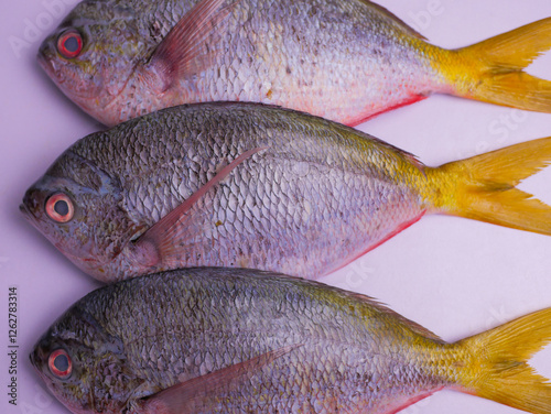 Ikan ekor kuning, Redbelly yellowtail fusilier fish isolated on white background, fresh fish