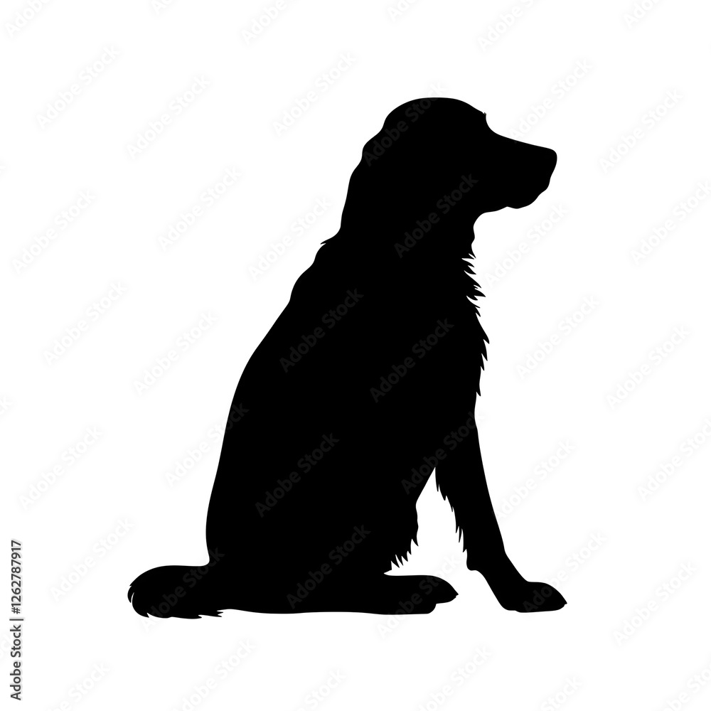 Obraz premium sitting dog silhouette