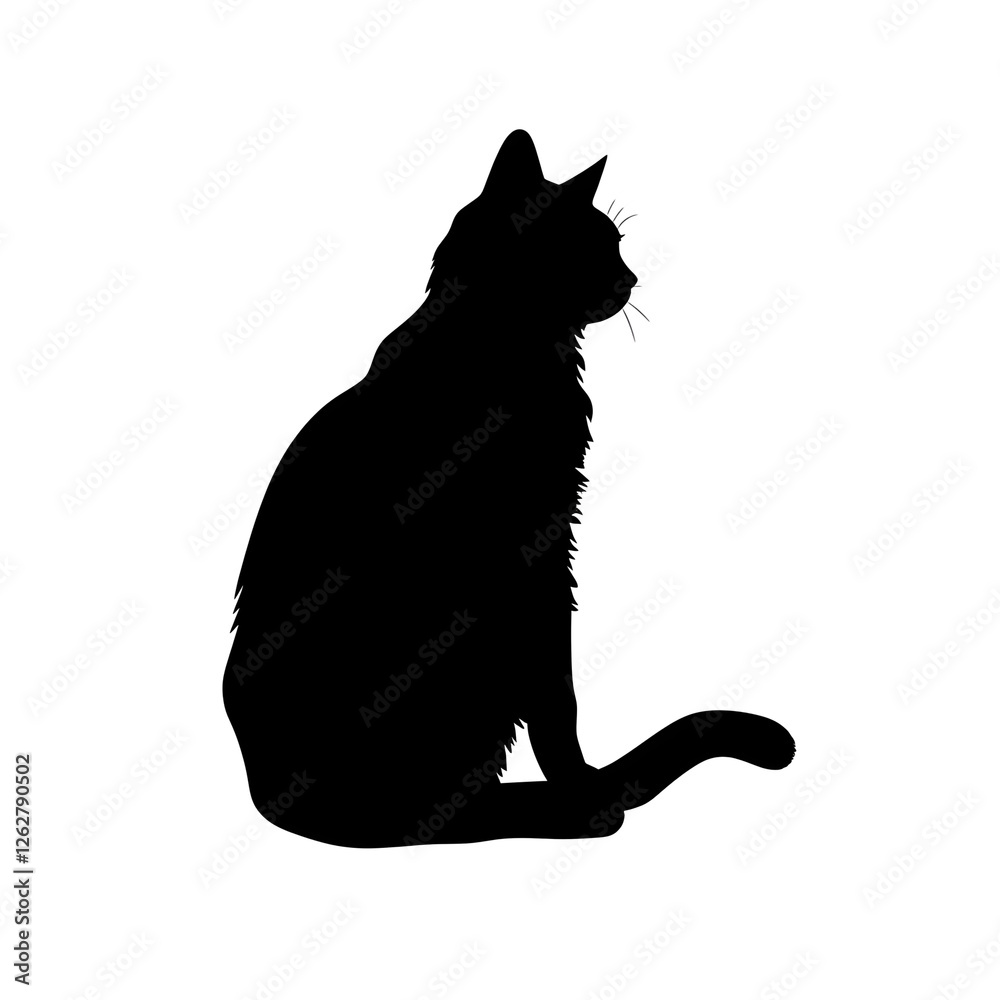 cat sitting silhouette