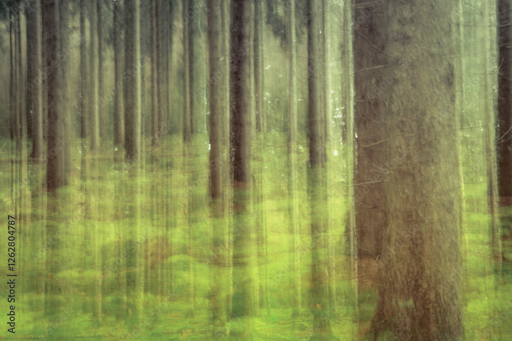 Obraz premium Long exposure abstract art. Photography with camera movement. Fuzzy lines of natural Trees. Unreal landscape.