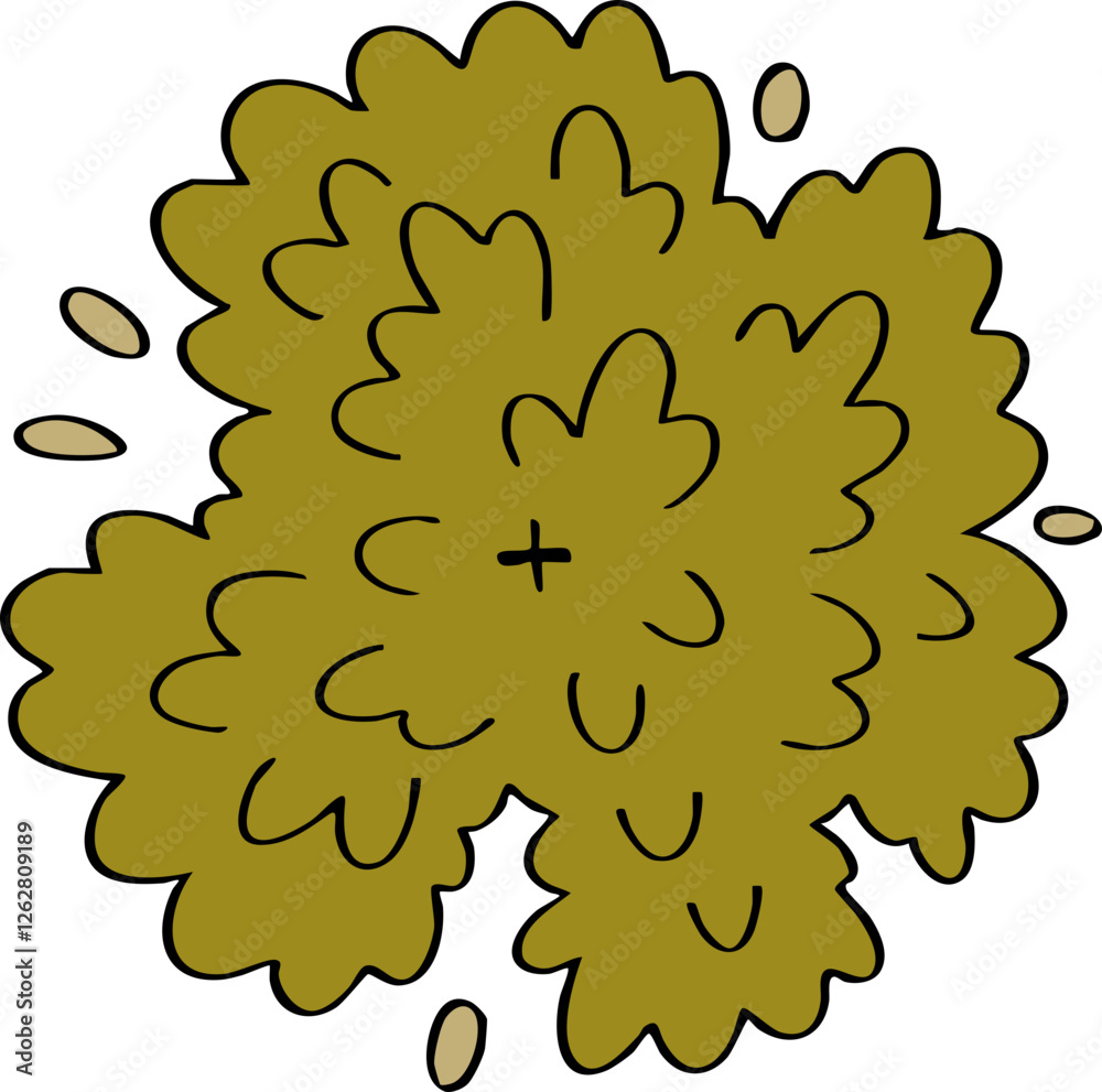 decoration hand drawn cartoon top view of tree illustration for landscape and architecture design.