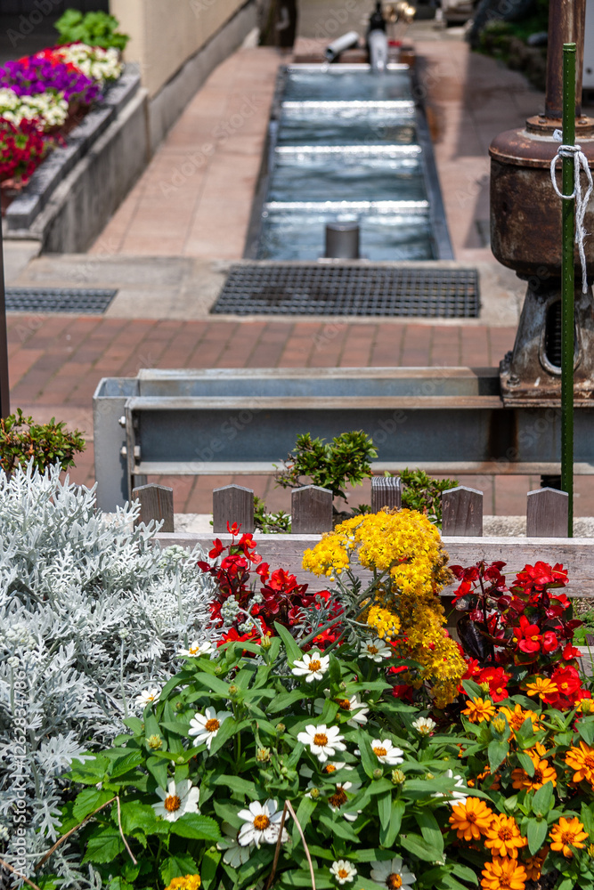 Naklejka premium （とやまビューポイント）富山県 黒部市 生地 清水の里 7月 