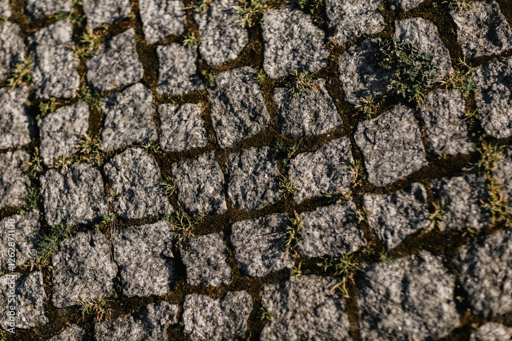 Road made of granite paving stones Road made of granite paving stones