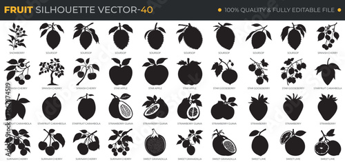 40 Set Fruit Silhouette Vector
