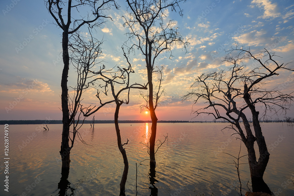 A flooded African landscape bathed in the golden hues of a breathtaking sunset reminds us of life's contrasts.Beauty in adversity, calm amidst turmoil. A flooded African landscape bathed in the golden hues of a breathtaking sunset reminds us of life's contrasts.Beauty in adversity, calm amidst turmoil.