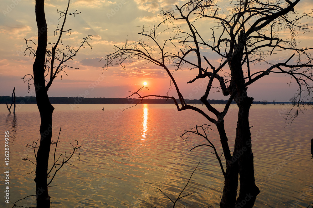 A flooded African landscape bathed in the golden hues of a breathtaking sunset reminds us of life's contrasts.Beauty in adversity, calm amidst turmoil.