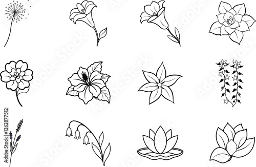 flower, floral, botanical, line art, line drawing, outline, monochrome, black and white, simple, elegant, design, illustration, graphics, rose, tulip, daisy, dahlia, lavender, lotus, pansy, bellflower