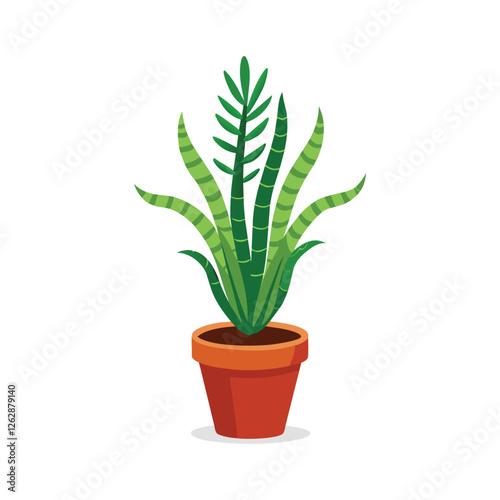 aloe vera plant in pot