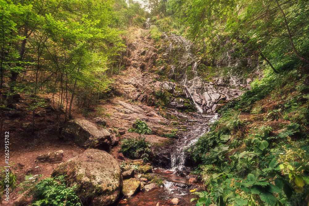 Pilj Waterfall Falling from Rocks in Mountain Forest