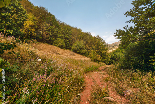 Obraz na płótnie Countryside Summer Landscape with Walking Trail w salonie